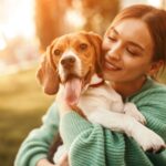 How Much Does A Beagle Cost